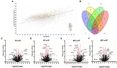 Proteomics analysis of the p.G849D variant in neurexin 2 alpha may reveal insight into Parkinson’s disease pathobiology